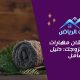 كيفية إتقان مهارات التدليك لزوجك: دليل شامل