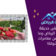 تعرف على حديقة الفراولة الرياض وما تقدمه من مغامرات مشوقة!