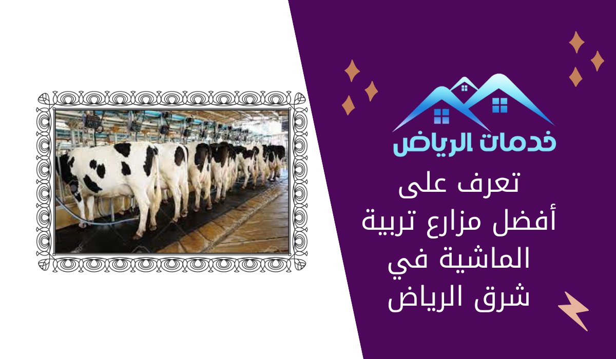 تعرف على أفضل مزارع تربية الماشية في شرق الرياض