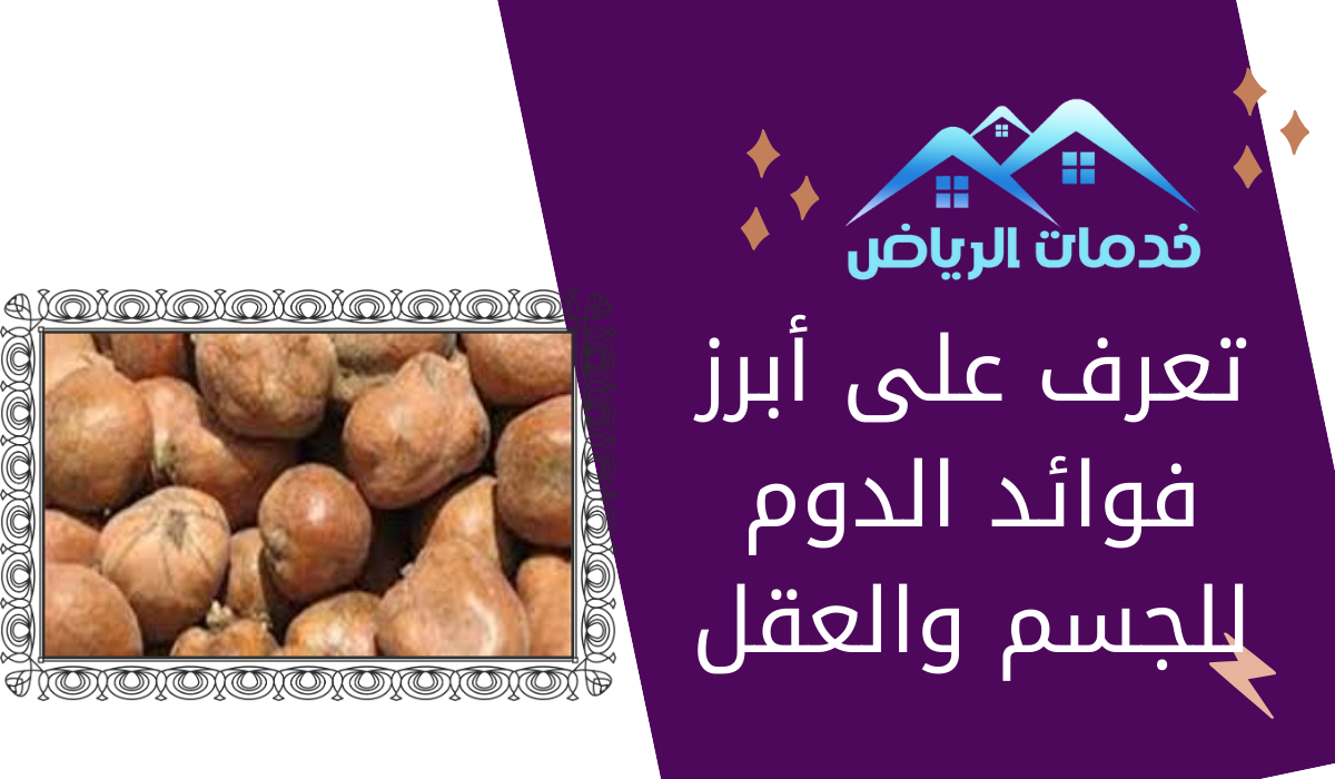 تعرف على أبرز فوائد الدوم للجسم والعقل - خدمات الرياض