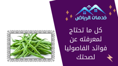 كل ما تحتاج لمعرفته عن فوائد الفاصوليا لصحتك