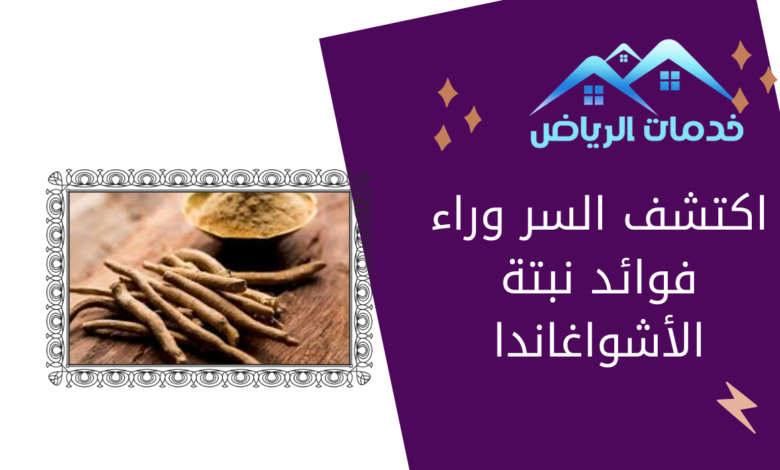 اكتشف السر وراء فوائد نبتة الأشواغاندا