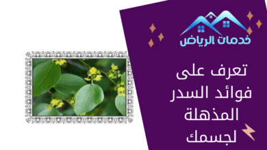 تعرف على فوائد السدر المذهلة لجسمك