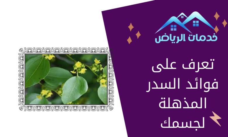 تعرف على فوائد السدر المذهلة لجسمك