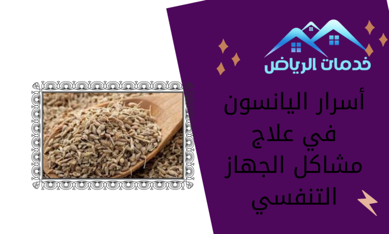 أسرار اليانسون في علاج مشاكل الجهاز التنفسي