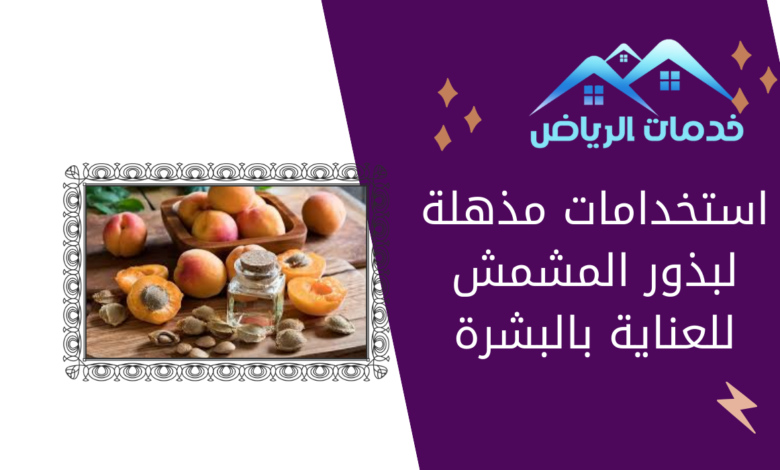 استخدامات مذهلة لبذور المشمش للعناية بالبشرة