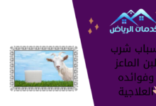 أسباب شرب لبن الماعز وفوائده العلاجية