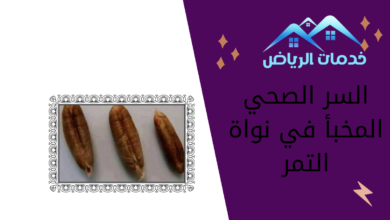 السر الصحي المخبأ في نواة التمر