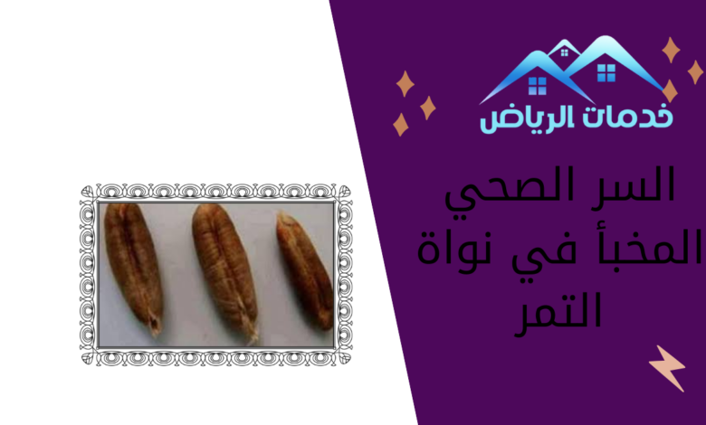 السر الصحي المخبأ في نواة التمر