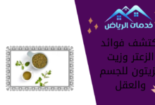 اكتشف فوائد الزعتر وزيت الزيتون للجسم والعقل