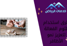 طرق استخدام الثوم الفعالة لتعزيز نمو الأظافر