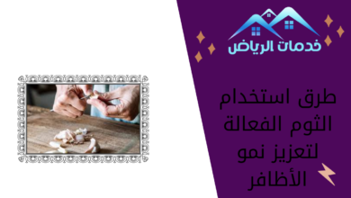 طرق استخدام الثوم الفعالة لتعزيز نمو الأظافر