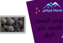 فوائد الليمون الاسود على الريق