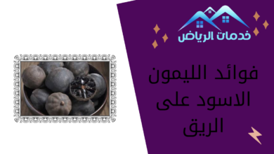 فوائد الليمون الاسود على الريق