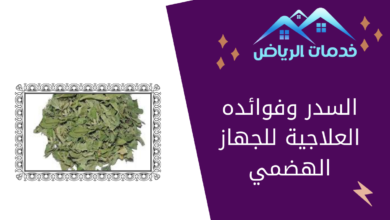 السدر وفوائده العلاجية للجهاز الهضمي