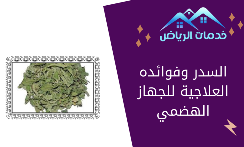 السدر وفوائده العلاجية للجهاز الهضمي