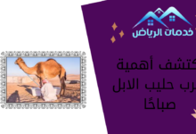 اكتشف أهمية شرب حليب الابل صباحًا