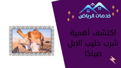 اكتشف أهمية شرب حليب الابل صباحًا