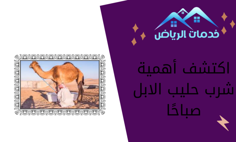 اكتشف أهمية شرب حليب الابل صباحًا