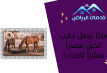 ماذا يجعل حليب الخيل مصدراً ممتازاً للغذاء؟