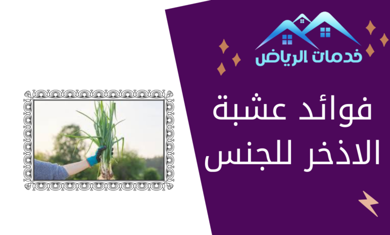 فوائد عشبة الاذخر للجنس